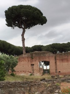 A quiet corner of the Forum