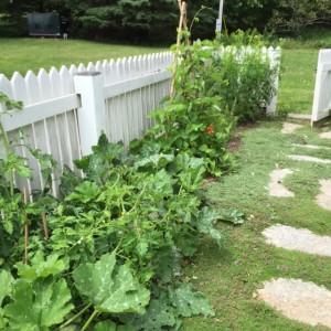 kitchengarden