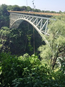 Bungee Vic Falls